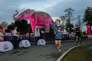 BIB: 
                            <button type="button" onclick="openModal(26529480)" class="btn btn-primary btn-sm float-right btn-popup" data-toggle="modal" data-target=".modal-high-quality">
                        <i class="fas fa-shopping-cart"></i> Add to Cart
                    </button>
                                            <button type="button" onclick="isThisMe(26529480, true)" class="btn btn-success btn-sm float-right btn-popup btn-isme hidden" data-toggle="tooltip" data-placement="bottom" title="นี่คือรูปของคุณใช่ไหม คลิกที่นี่เพื่อเอาเข้าอัลบั้ม">
                        <i class="fas fa-plus"></i> Add to album
                    </button>
                    <button type="button" onclick="isThisMe(26529480, false)" class="btn btn-warning btn-sm float-right btn-popup btn-isnotme hidden">
                        <i class="fas fa-ban"></i> Remove from album
                    </button>